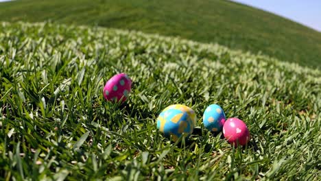 colorful easter eggs in a green field