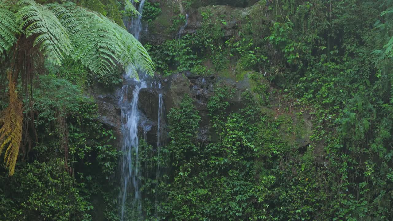 Lush Waterfall Scene