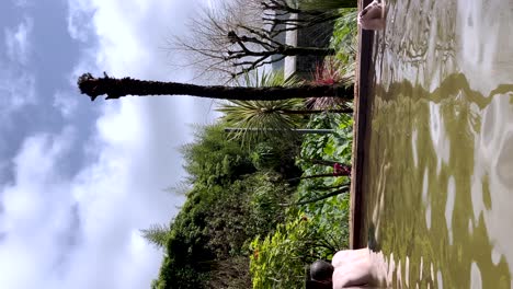 man from behind relaxing in a thermal pool in a natural environment. vertical format