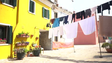 a house of intense yellow color, adorned with flowerpots, flowers, and plants