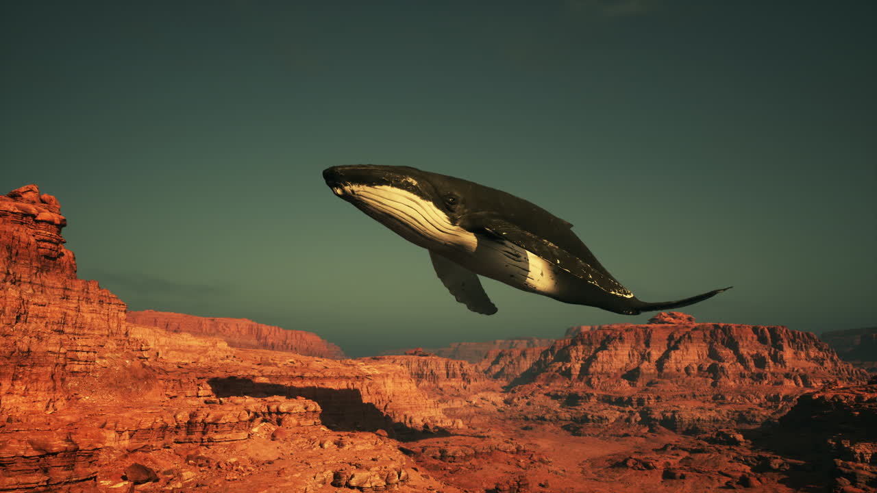 협곡 위를 날아다니는 고래