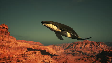 a whale flying over a canyon