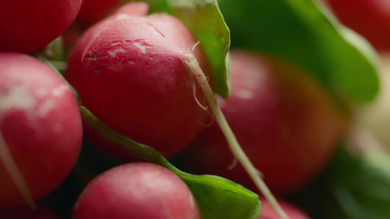 Close up of fresh radish. Nutrition and healthy diet concept