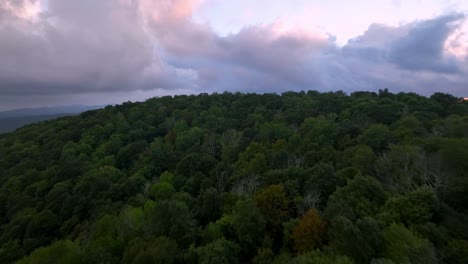 copa de árbol rápido empuje aéreo con nubes al atardecer