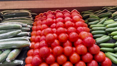 rows of cucumbers and tomatoes neatly arranged in a grocery store under bright lighting