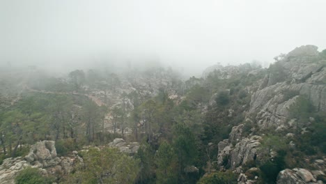 Drone-flying-through-fog-revealing-mountain-forest-scenery,-Corsica