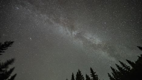 la vía láctea en el cielo estrellado de la noche