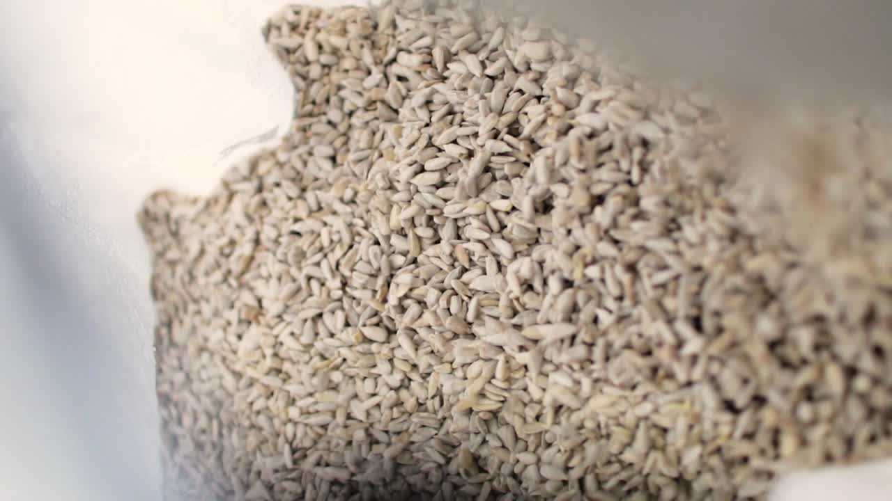 공장 컨베이어 에 있는 꽃 씨