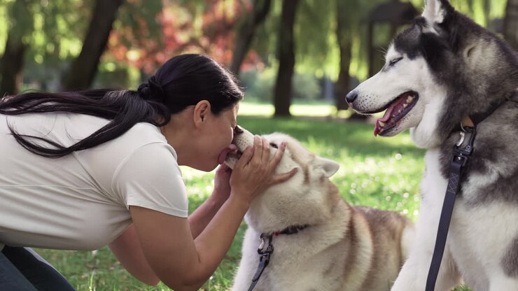 Proprietario di animali domestici con cani