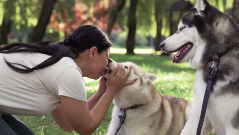 Dueño-De-Mascota-Con-Perros