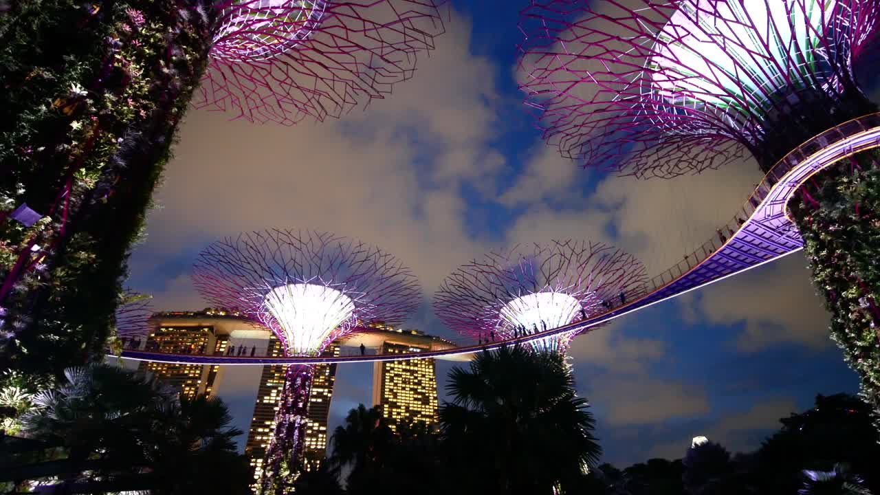 Gardens by the Bay Supertree Grove at Night
