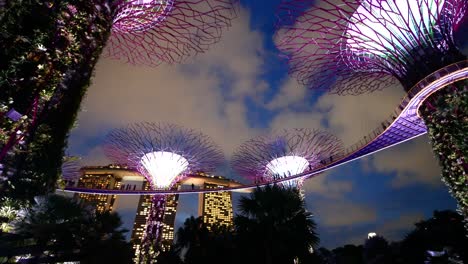 gardens by the bay supertree grove at night