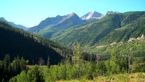 Cinematic-mountain-landscape-view-Aspen-Snowmass-peaks-near-Marble-Basalt-Carbondale-late-summer-snow-on-tops-tall-green-grass-slight-breeze-wind-peaceful-morning-bright-sunlight-forest-stable-tripod