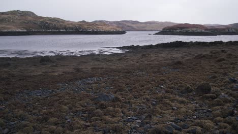 Toma-De-Un-Lago-Marino-Con-Marea-Baja