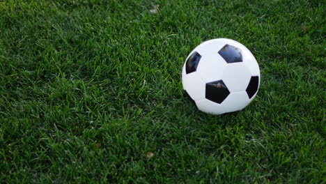 A-female-soccer-player-kicking-a-football-to-her-teammate-on-a-grass-sport-field