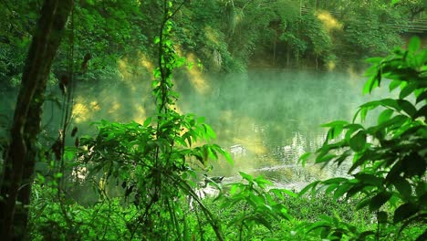 Eine-Stockente-Schwimmt-über-Einen-Teich,-Während-An-Der-Oberfläche-Des-Warmen-Wassers-Dampf-Aufsteigt