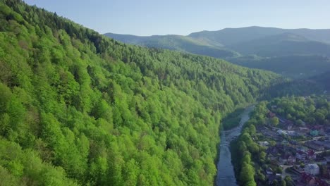 flying over the beautiful ukrainian carpathians mountain and coniferous forest overlooking the beautiful lush green valley and the village. aerial camera shot. landscape panorama. switzerland. video 4k