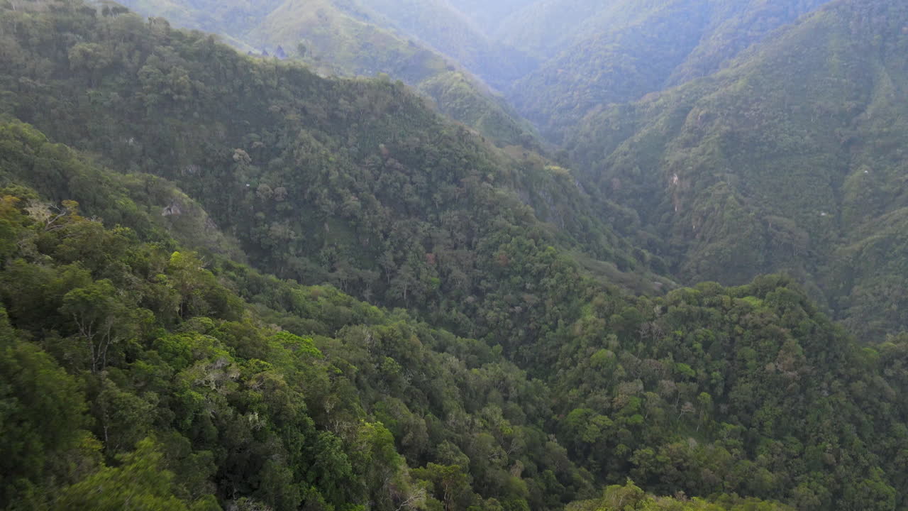 Thick Woodland Covering The Mountain Range In Indonesian Island Of Flores. aerial