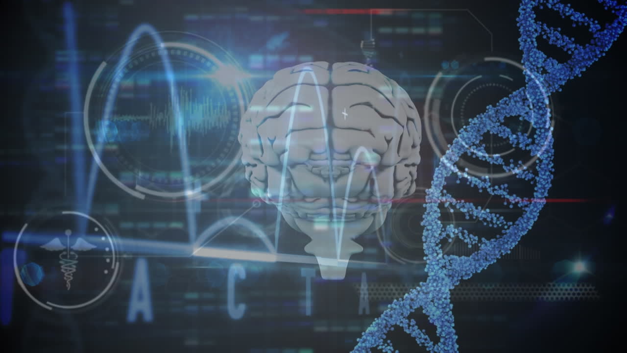 Animation of dna strand over data processing and digital brain