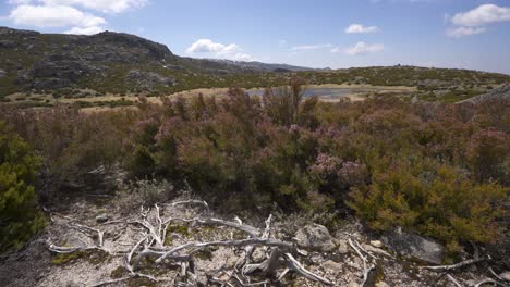 Paisaje-De-Laguna-Seca-En-Serra-Da-Estrela,-Portugal