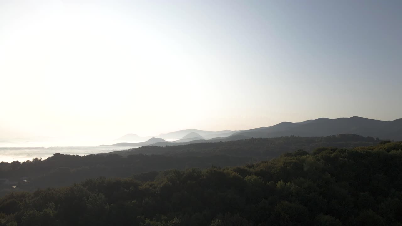 숲과 안개로 뒤덮인 광활한 구릉 풍경