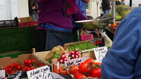 farmers market shopping: fresh tomatoes, radishes, and green beans