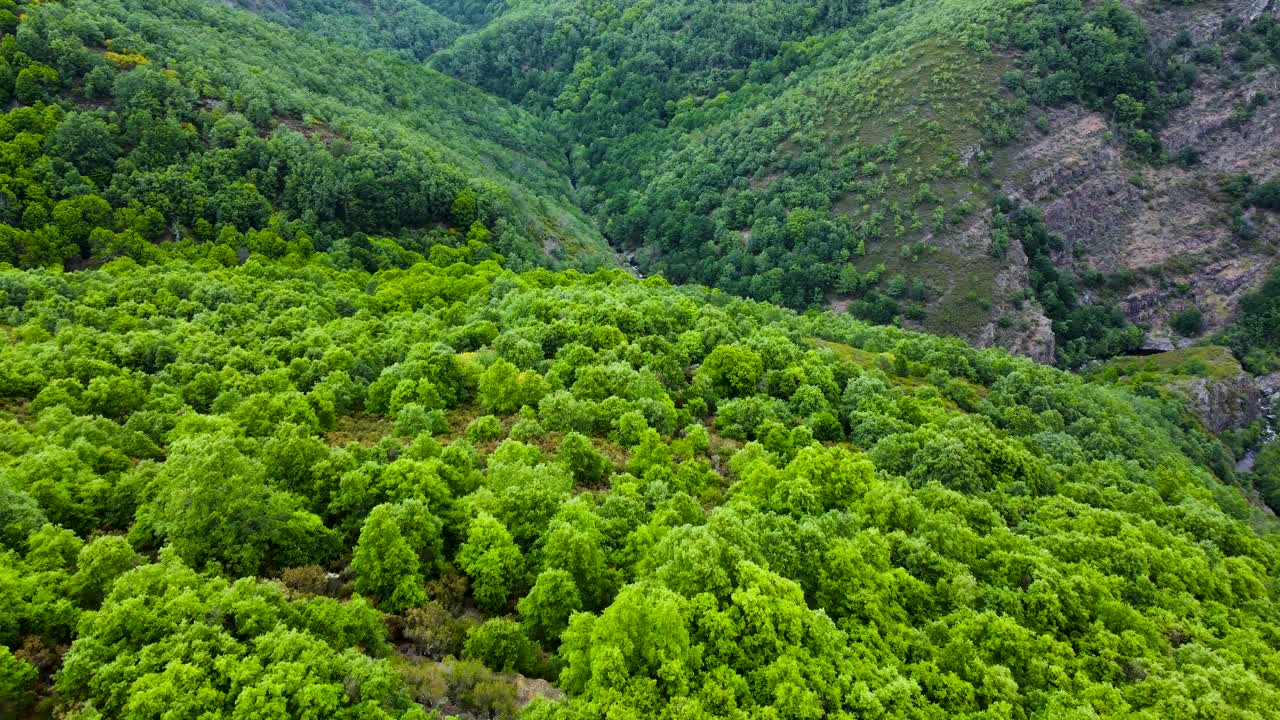 el río y el cañón de bibay bibei en zamora, españa, dolly aéreo