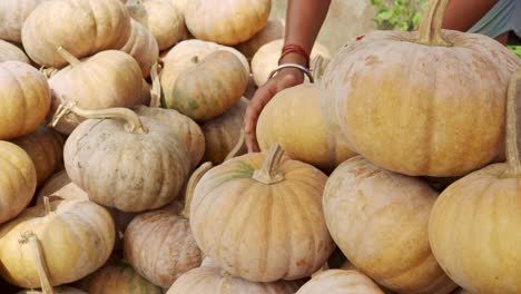 Macho-Asiático-Apilando-Calabaza-Roja-Al-Aire-Libre-Listo-Para-Vender-En-El-Mercado-Local