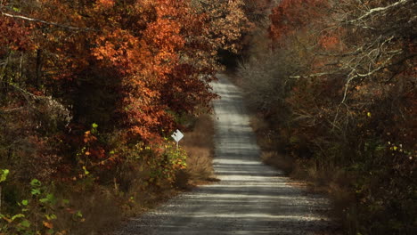 Countryside-Road-Between-Lush-Autumn-Forest-In-AR,-USA---Drone-Shot