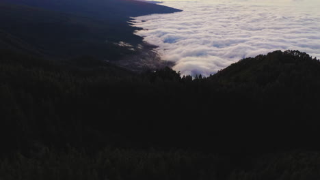 coniferous forests on tenerife island below the pico de teide mountain with a dense cloud inversion on the coast and a silhouette of the mountain on the horizon at sunset. inversion below a mountain.