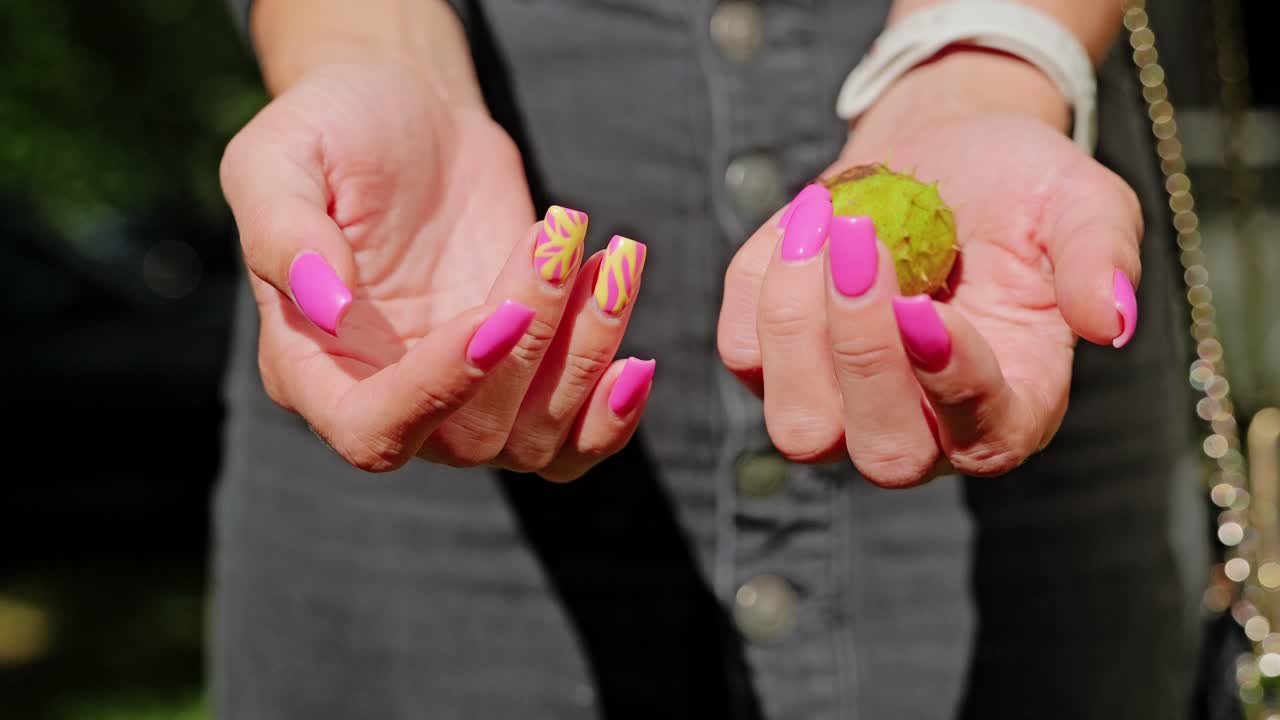 Slow motion shot of spiky chestnut as metaphor for survival and vulnerability