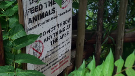no alimente a los animales señalización en el zoológico, lento completo ángulo alto panorámico tiro de izquierda a derecha