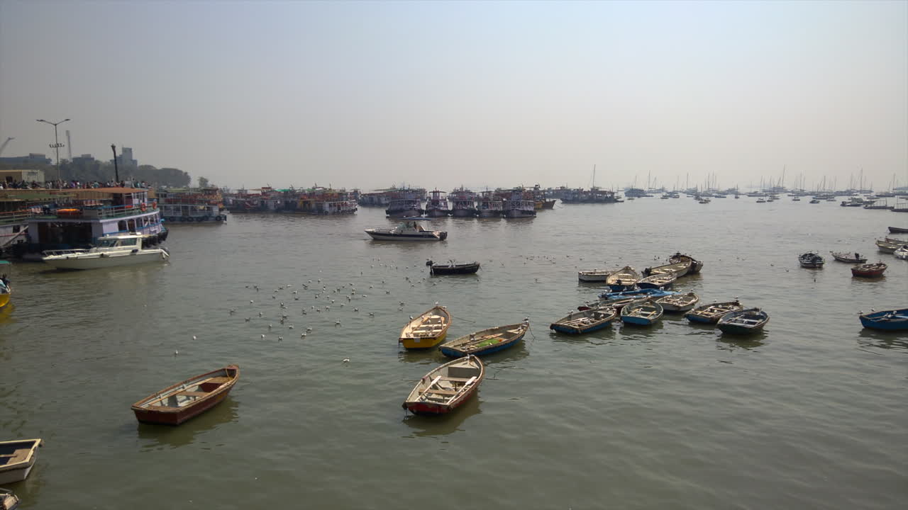barcos y pájaros en el puerto de bombay, india