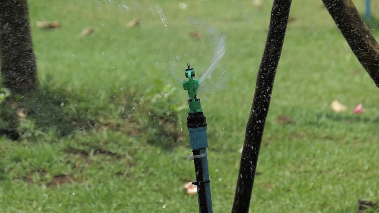 Slow motion of springer in garden.