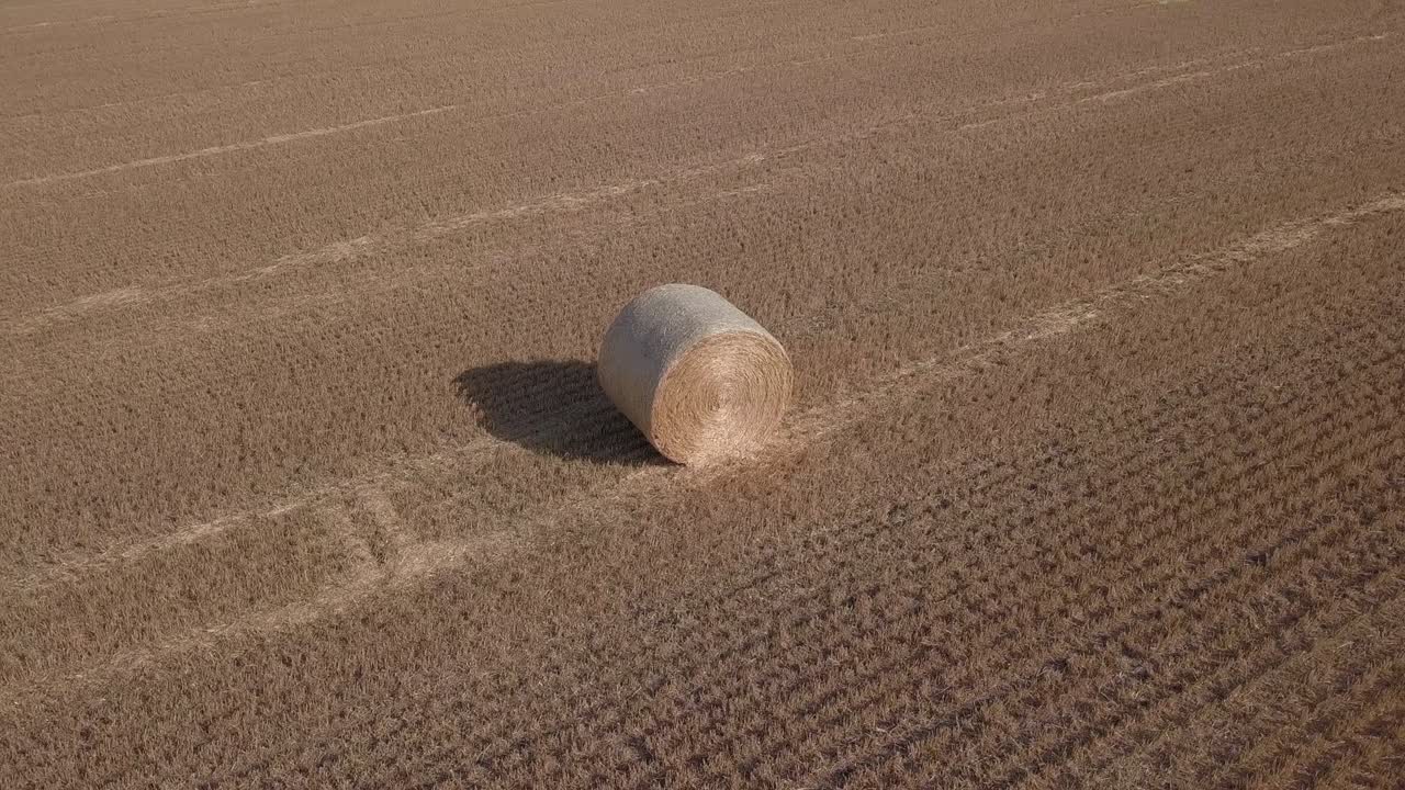 골든 헤이 발의 도 안테나