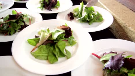 hands putting leaves in a salad plate