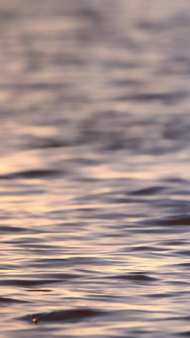 Close Up of Gentle Water Ripples with Soft Sunset Colors