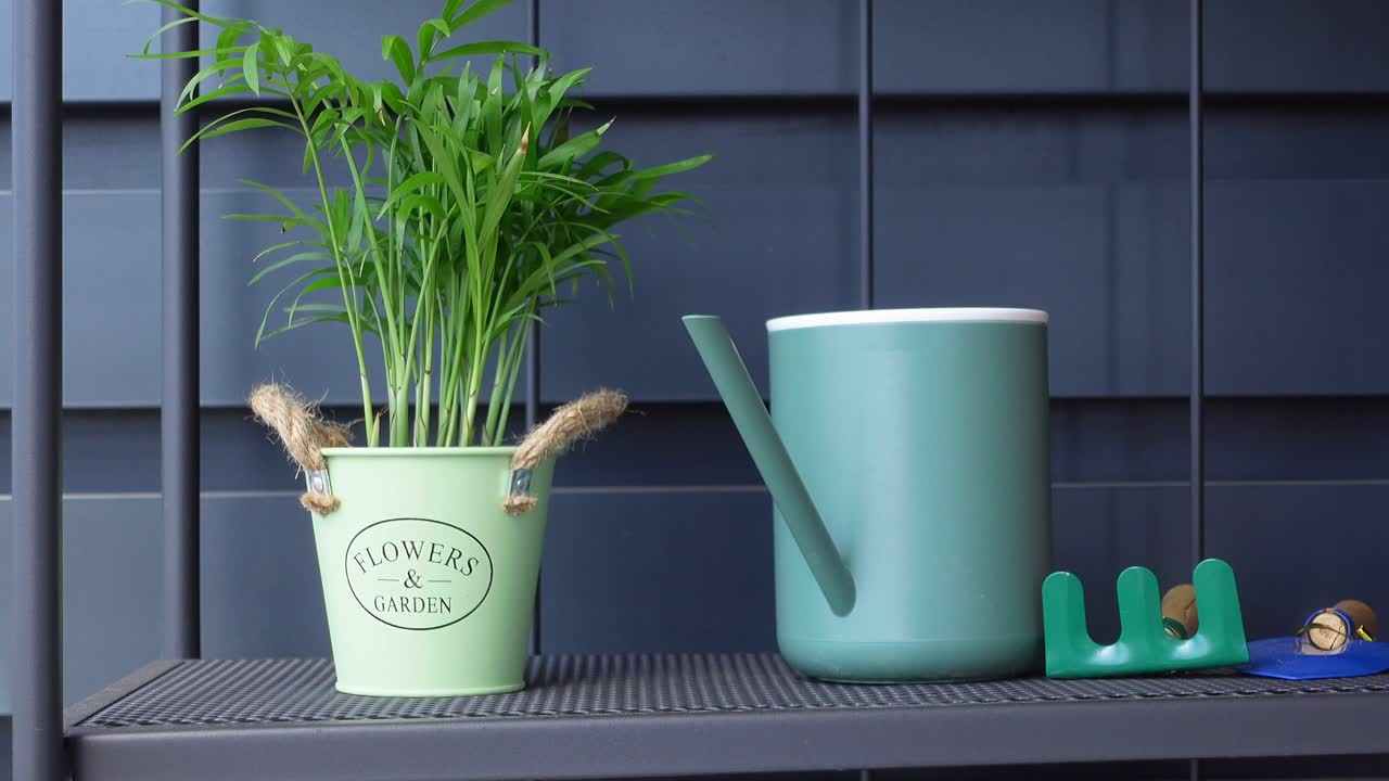 decoración de jardín en el estante con planta y riego puede