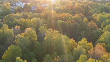 Oakwood-park-in-Kaunas,-Lithuania