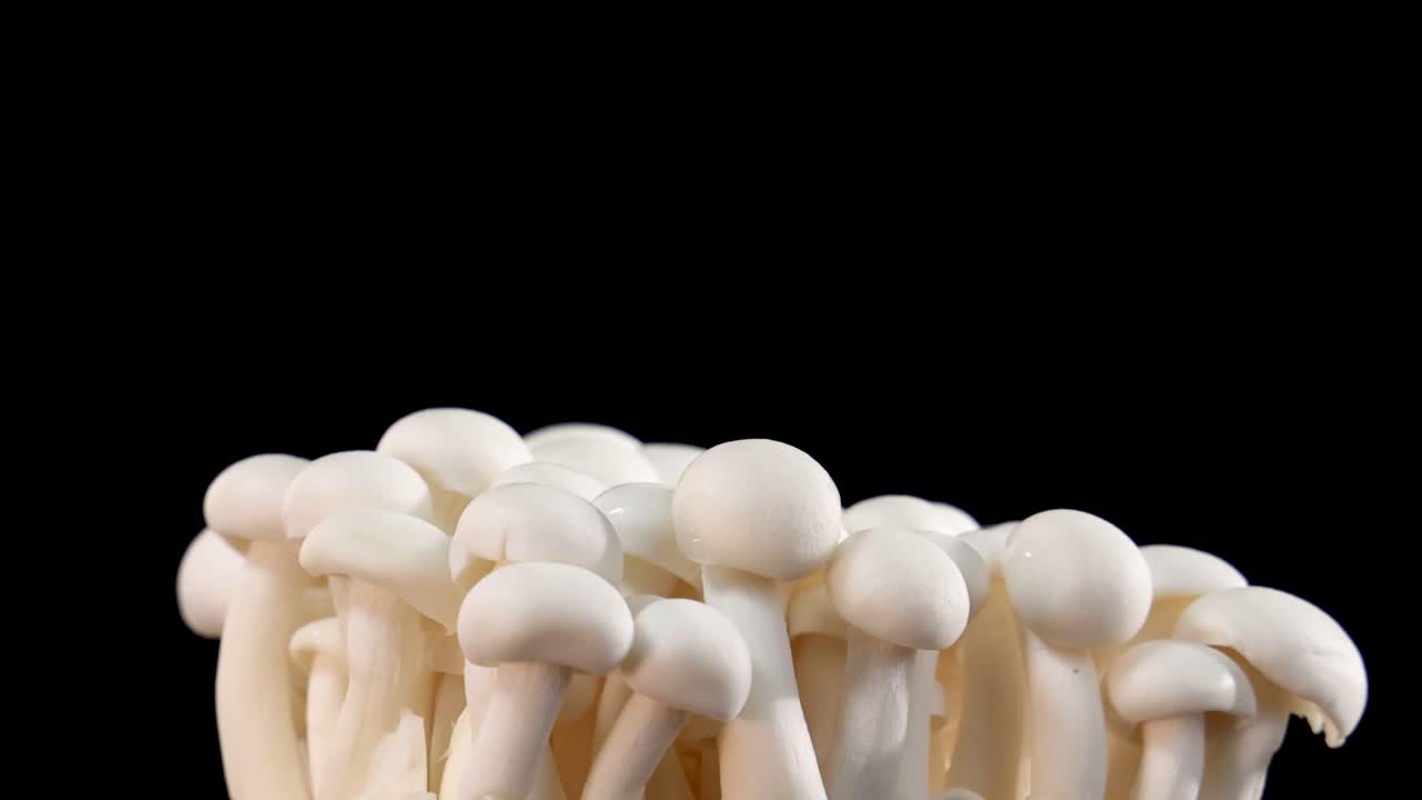 A dense cluster of white shimeji mushrooms slowly rotates against a seamless black background, illuminated with soft, even lighting and ample copy space
