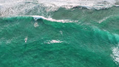 surfer skillfully navigates ocean waves