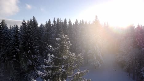 Toma-De-Un-Dron-De-Un-Lugar-Con-Nieve