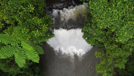 Birdseye-Aerial-View-of-Scenic-Waterfall-and-Natural-Pool-in-Green-Rainforest