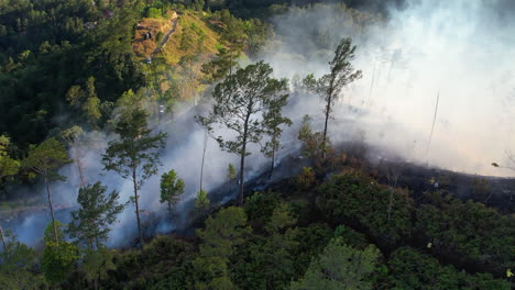 incendio en el bosque en la montaña en la república dominicana