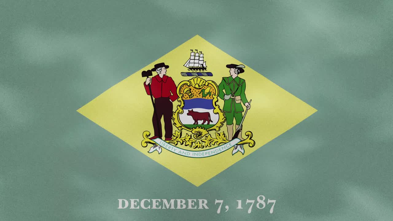 delaware denso tejido de la bandera ondulaciones, bucle de fondo