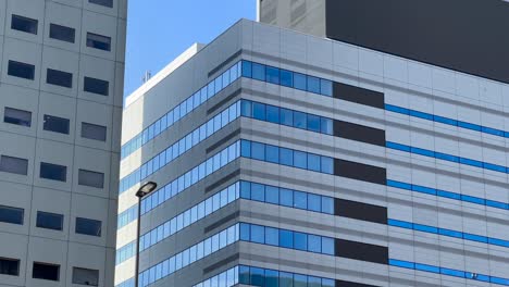 Glass-windows-of-office-buildings-in-Chuo-City,-Tokyo-Japan