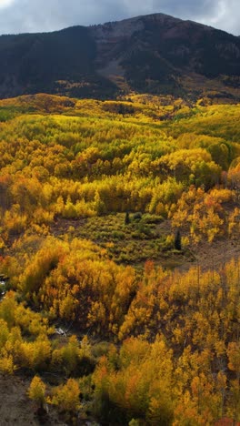 Vertical-Drone-Shot-of-Yellow-Green-Aspen-Forest-Under-Hills-in-Autumn-Season,-Landscape-of-Colorado-USA