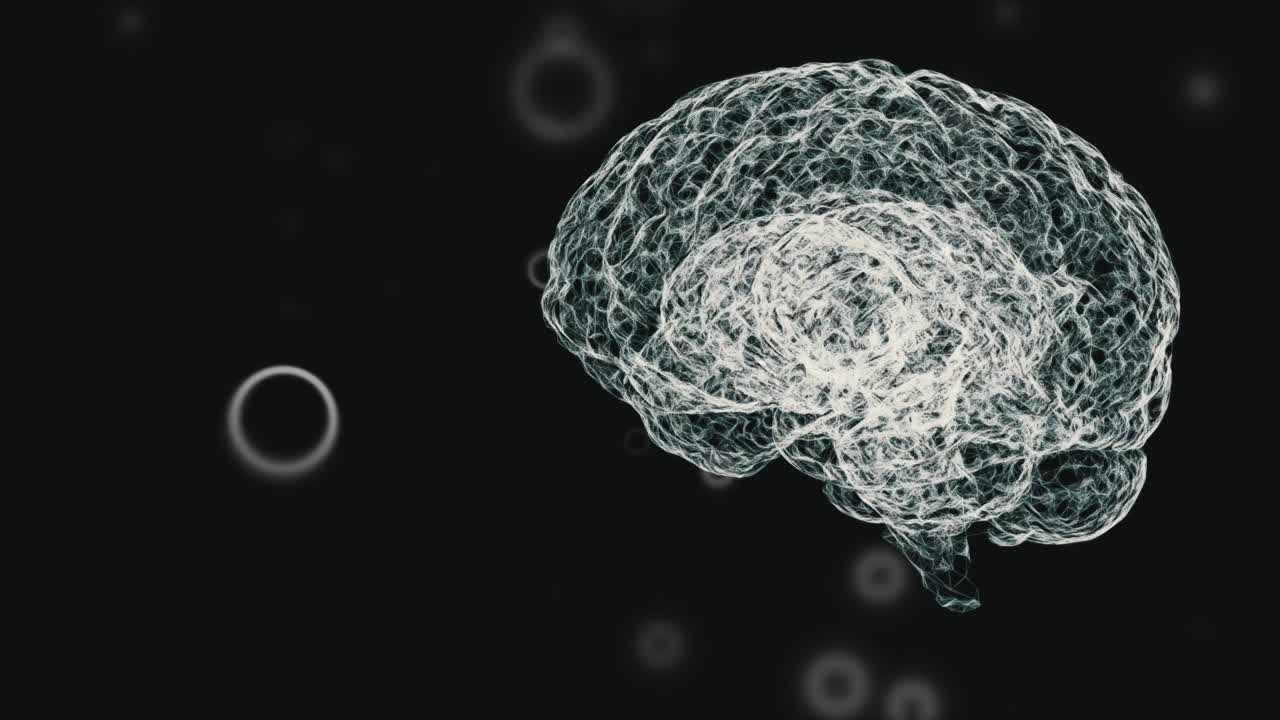 인간 뇌의 회전하는 홀로그램과 무결한 루프로 분산된 원자 입자.