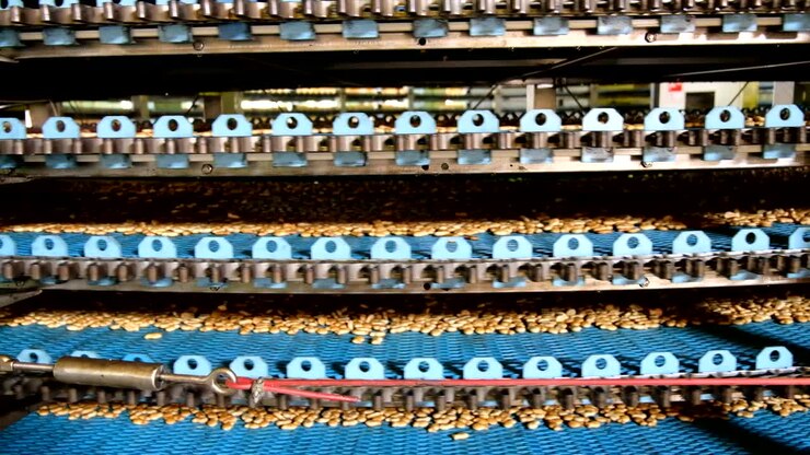 Macchina trasportatrice rotonda automatizzata in una fabbrica alimentare di prodotti da forno, linea di produzione di biscotti e torte.