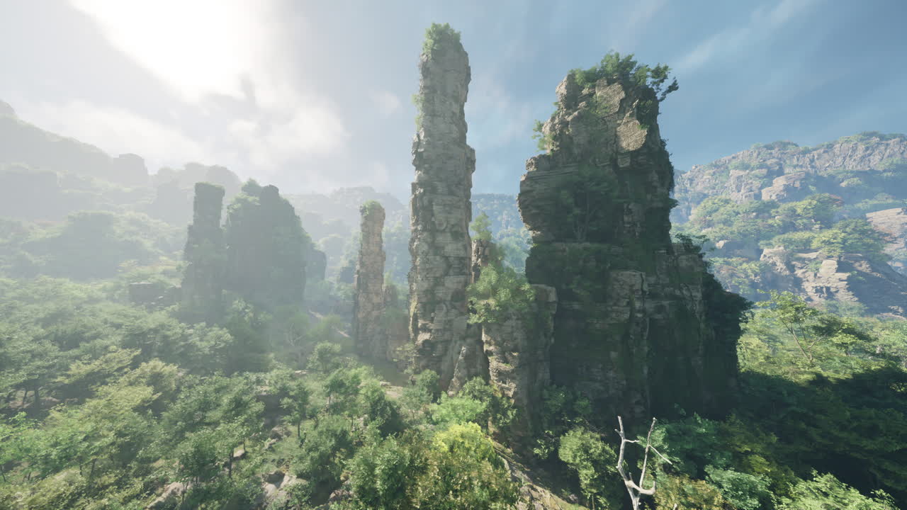 산의 숲 속 의 높은 바위 형태